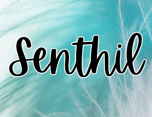 Amazing Benefits of Aloe Vera for Skin and Hair